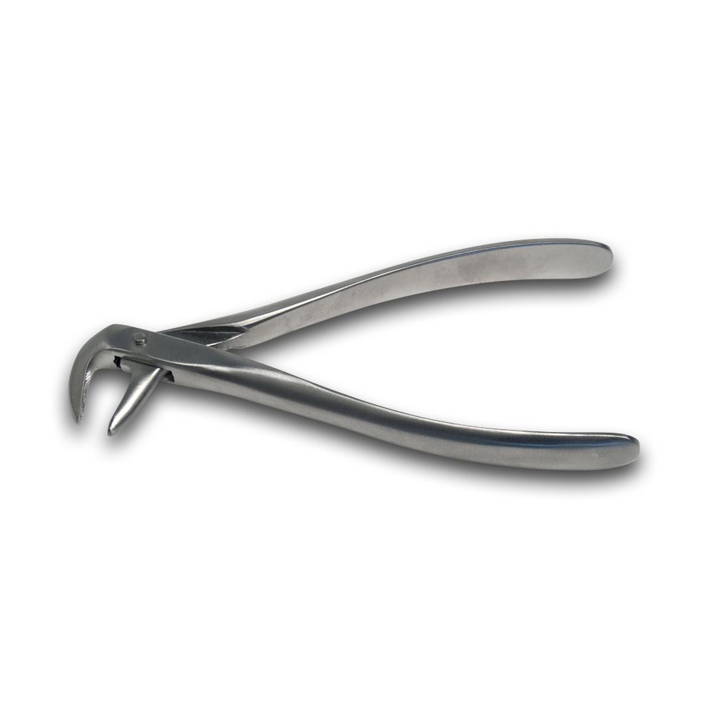 Extracting forceps Nr. 74