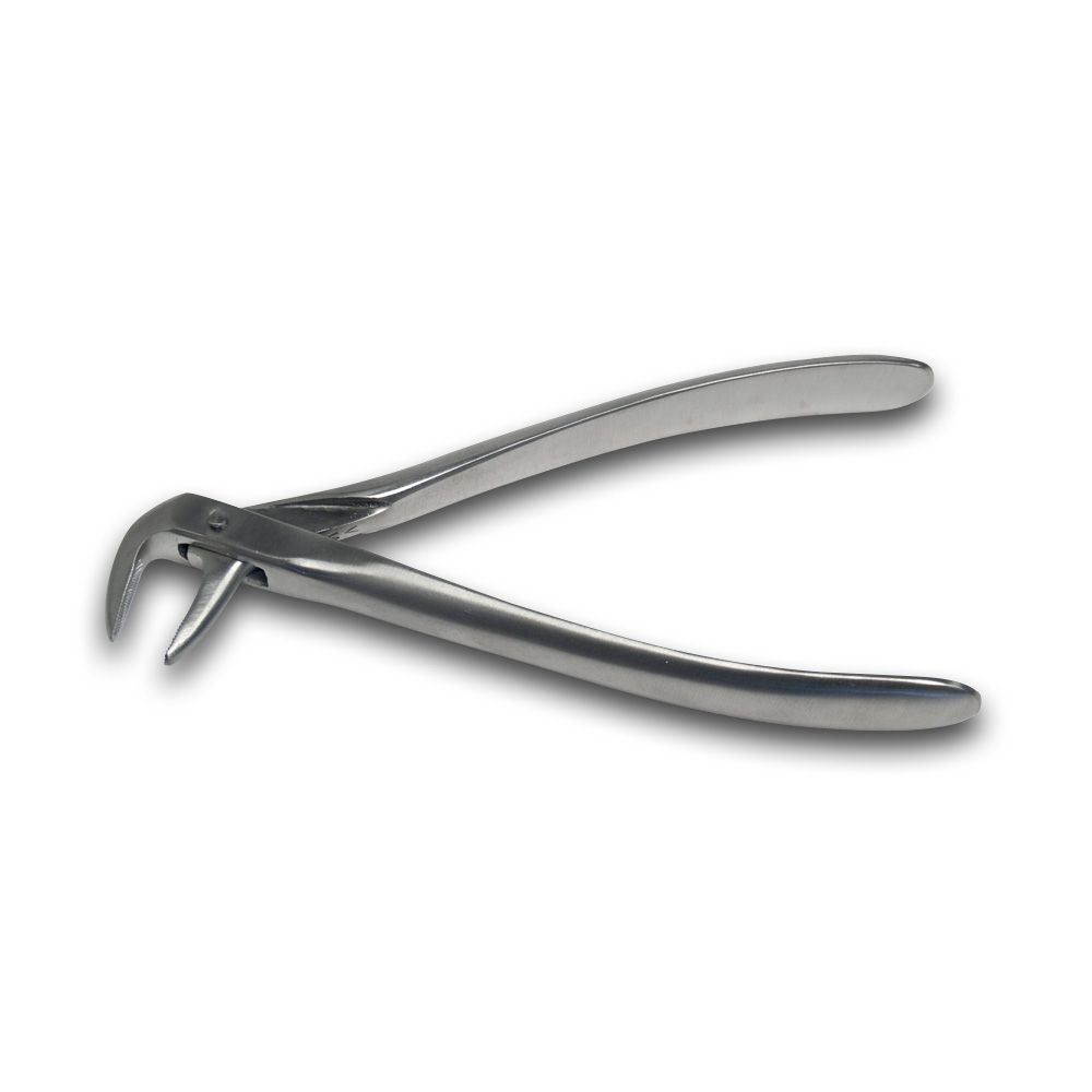 Extracting forceps Nr. 74N