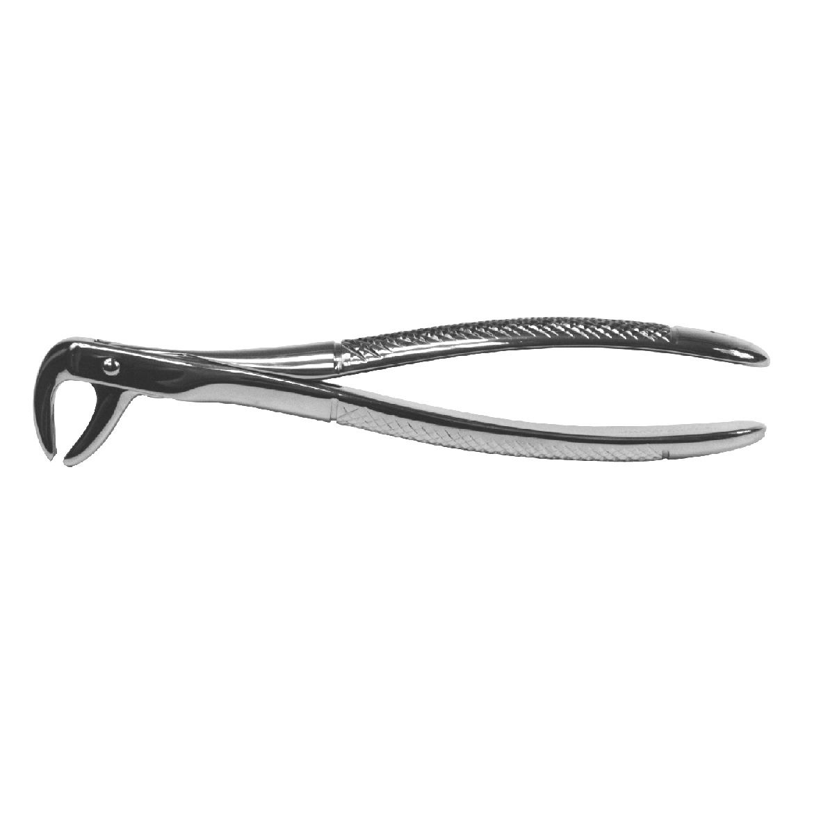 DEhp Forceps Lower Bicuspids 75