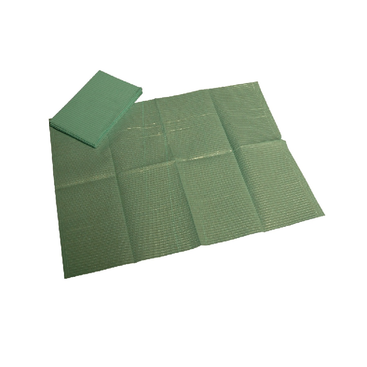 DEhp Bibs Patient Green 500pk